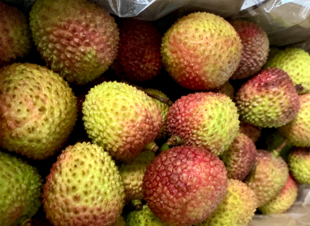 《永兴火山荔枝王（紫娘喜）质量分级》团体标准征求意见