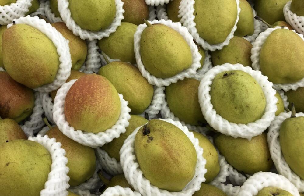 項(xiàng)目開(kāi)工丨華德優(yōu)果果蔬綜合加工項(xiàng)目