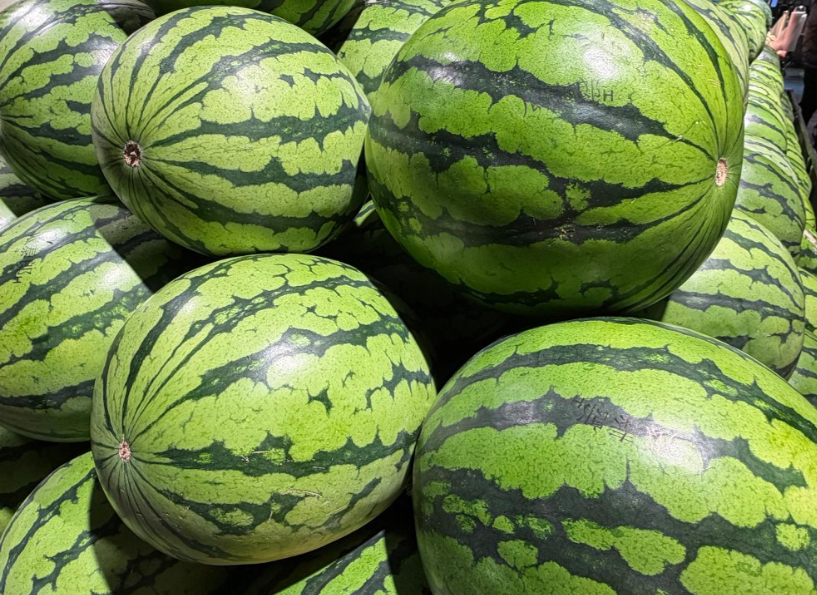 《石湖西瓜》省級地方標(biāo)準(zhǔn)調(diào)研座談會召開