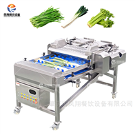 STQ-200凤翔 双滚刀切根机芹菜大葱切段机