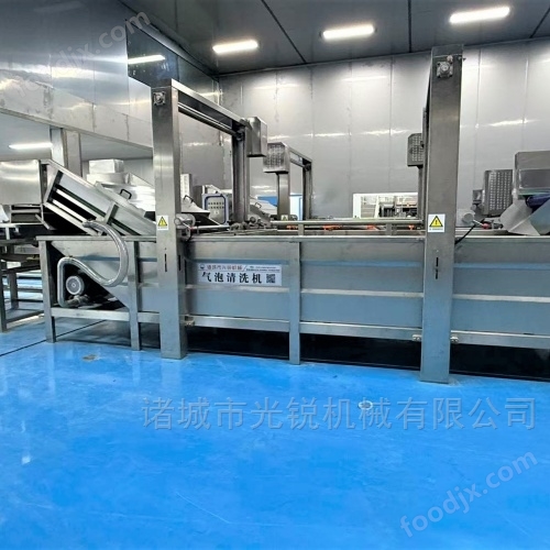 山野菜全自動(dòng)清洗機(jī)