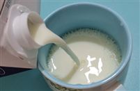 中國(guó)乳制品工業(yè)協(xié)會(huì)法規(guī)標(biāo)準(zhǔn)技術(shù)委員會(huì)在京召開(kāi)工作會(huì)議