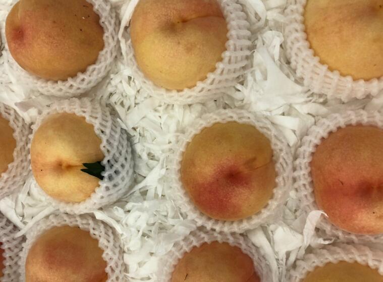 江苏省标准化协会关于批准发布《阳湖湖景蜜露水蜜桃等级规格》《阳湖水蜜桃包装与储运技术规范》两项团体标准的公告