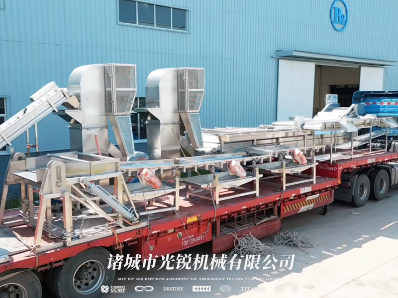 五车齐发｜梅果全套加工流水线批量交付投产