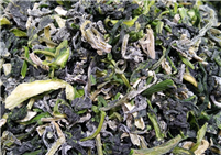 《食品机械 食品拌馅机》等行业标准将修订