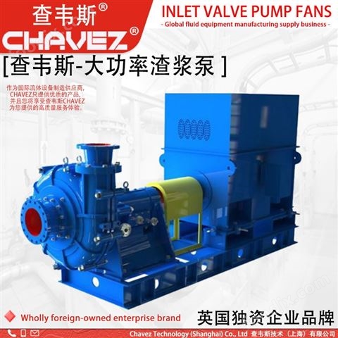 查韋斯 進(jìn)口 壓濾機(jī)入料泵 渣漿泵 給料泵