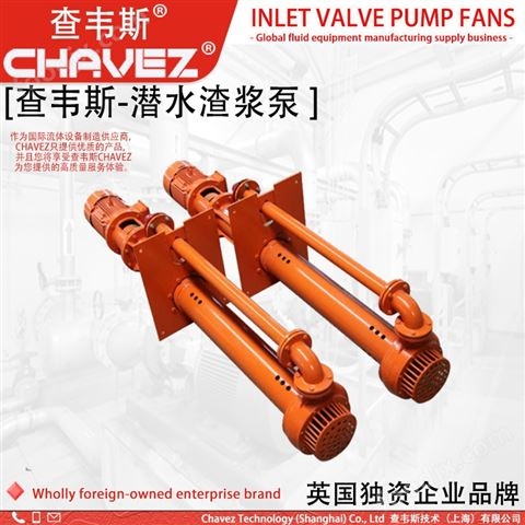 查韋斯 進(jìn)口 壓濾機(jī)入料泵 渣漿泵 給料泵
