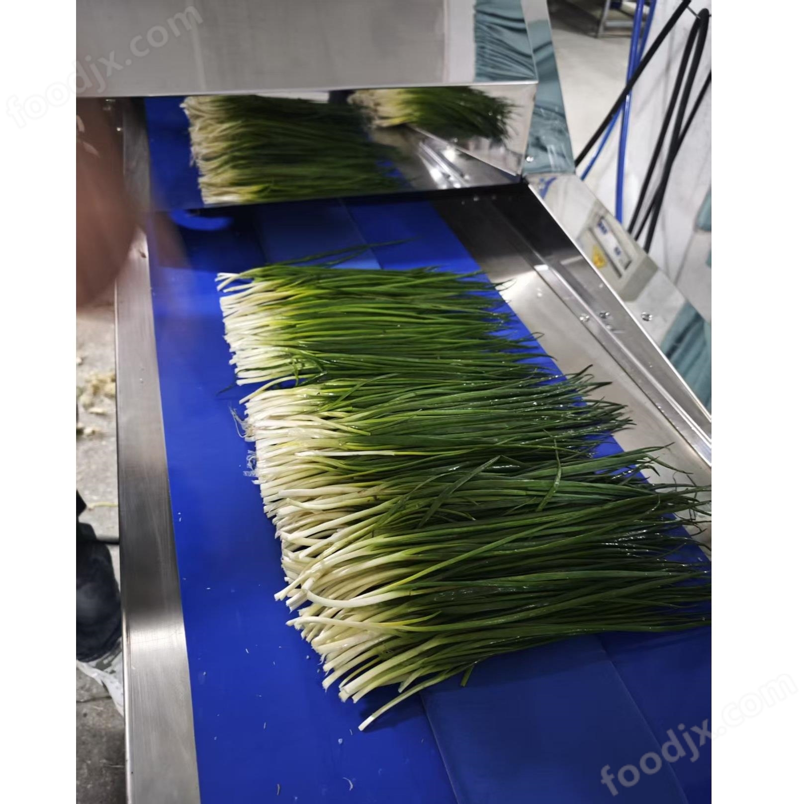 全自動大蔥切根切葉去皮機